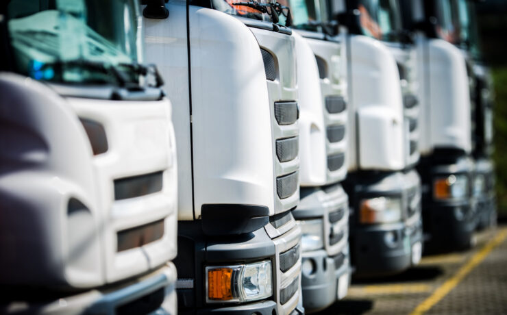 Trucks are parked closely in a storage area, their front designs shining in the midday sun.